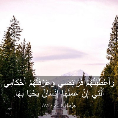Picture 03 - حِزْقِيَال 20:11 AVD - وَأَعْطَيْتُهُمْ - Bible Verse Picture