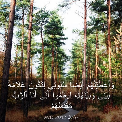 Picture 03 - حِزْقِيَال 20:12 AVD - وَأَعْطَيْتُهُمْ أَيْضًا - Bible Verse Picture