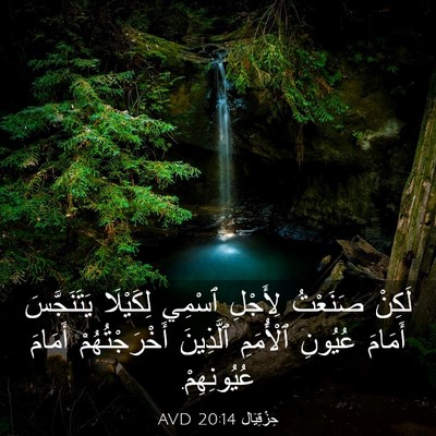 Picture 03 - حِزْقِيَال 20:14 AVD - لَكِنْ صَنَعْتُ لِأَجْلِ - Bible Verse Picture