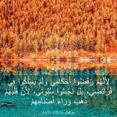 Picture 03 - حِزْقِيَال 20:16 AVD - لِأَنَّهُمْ رَفَضُوا - Bible Verse Picture