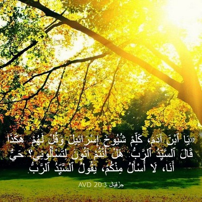 Picture 03 - حِزْقِيَال 20:3 AVD - «يَا ٱبْنَ آدَمَ، كَلِّمْ - Bible Verse Picture