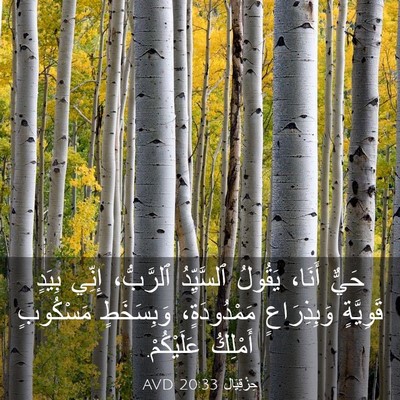 Picture 03 - حِزْقِيَال 20:33 AVD - حَيٌّ أَنَا، يَقُولُ - Bible Verse Picture