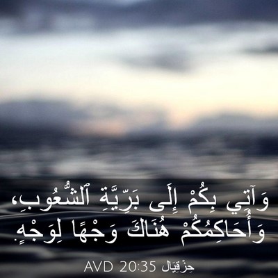 Picture 03 - حِزْقِيَال 20:35 AVD - وَآتِي بِكُمْ إِلَى - Bible Verse Picture