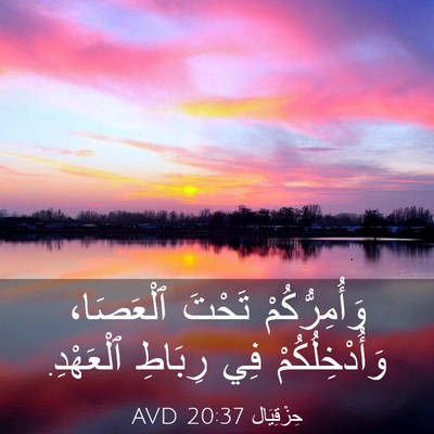 Picture 03 - حِزْقِيَال 20:37 AVD - وَأُمِرُّكُمْ تَحْتَ - Bible Verse Picture