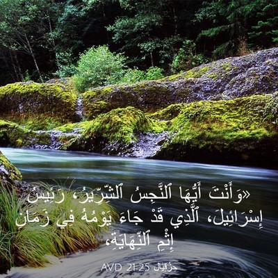 Picture 03 - حِزْقِيَال 21:25 AVD - «وَأَنْتَ أَيُّهَا - Bible Verse Picture