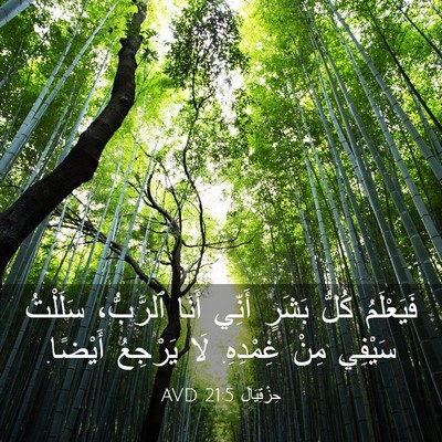 Picture 03 - حِزْقِيَال 21:5 AVD - فَيَعْلَمُ كُلُّ بَشَرٍ - Bible Verse Picture