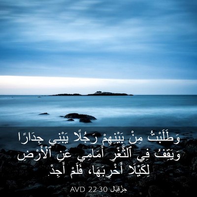 Picture 03 - حِزْقِيَال 22:30 AVD - وَطَلَبْتُ مِنْ - Bible Verse Picture