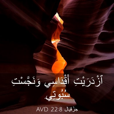 Picture 03 - حِزْقِيَال 22:8 AVD - ٱزْدَرَيْتِ أَقْدَاسِي - Bible Verse Picture