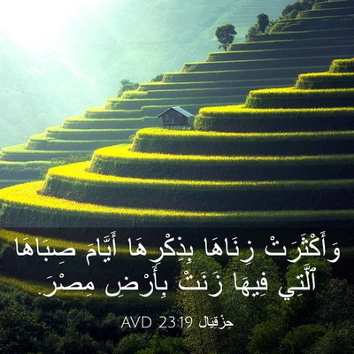 Picture 03 - حِزْقِيَال 23:19 AVD - وَأَكْثَرَتْ زِنَاهَا - Bible Verse Picture