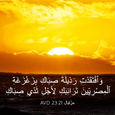 Picture 03 - حِزْقِيَال 23:21 AVD - وَٱفْتَقَدْتِ رَذِيلَةَ - Bible Verse Picture