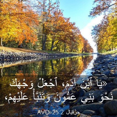 Picture 03 - حِزْقِيَال 25:2 AVD - «يَا ٱبْنَ آدَمَ، ٱجْعَلْ - Bible Verse Picture