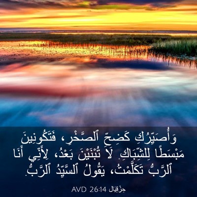 Picture 03 - حِزْقِيَال 26:14 AVD - وَأُصَيِّرُكِ كَضِحِّ - Bible Verse Picture