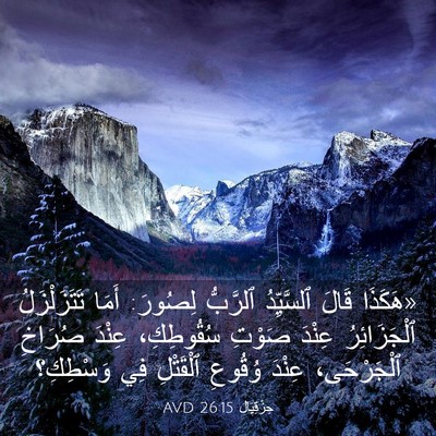Picture 03 - حِزْقِيَال 26:15 AVD - «هَكَذَا قَالَ ٱلسَّيِّدُ - Bible Verse Picture