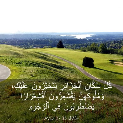Picture 03 - حِزْقِيَال 27:35 AVD - كُلُّ سُكَّانِ - Bible Verse Picture