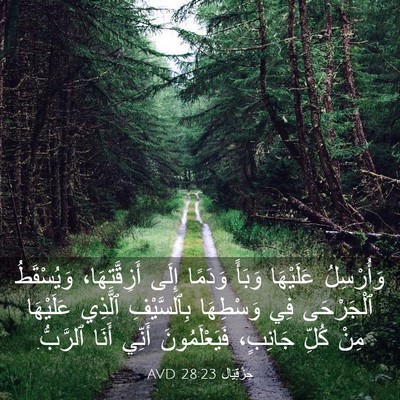 Picture 03 - حِزْقِيَال 28:23 AVD - وَأُرْسِلُ عَلَيْهَا - Bible Verse Picture