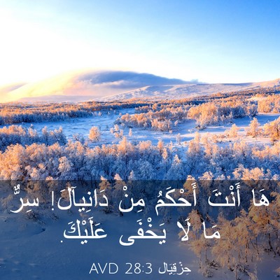 Picture 03 - حِزْقِيَال 28:3 AVD - هَا أَنْتَ أَحْكَمُ مِنْ - Bible Verse Picture