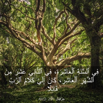 Picture 03 - حِزْقِيَال 29:1 AVD - فِي ٱلسَّنَةِ - Bible Verse Picture
