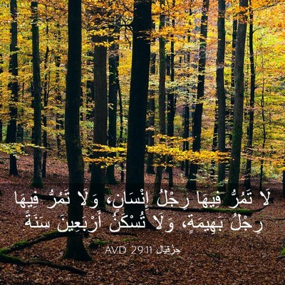 Picture 03 - حِزْقِيَال 29:11 AVD - لَا تَمُرُّ فِيهَا رِجْلُ - Bible Verse Picture
