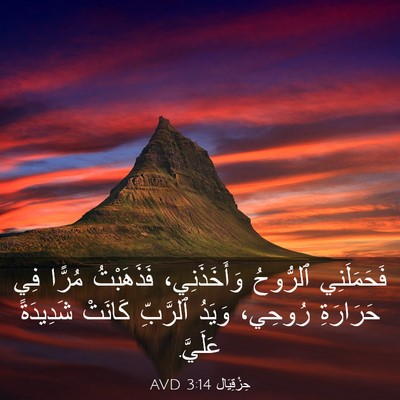 Picture 03 - حِزْقِيَال 3:14 AVD - فَحَمَلَنِي ٱلرُّوحُ - Bible Verse Picture
