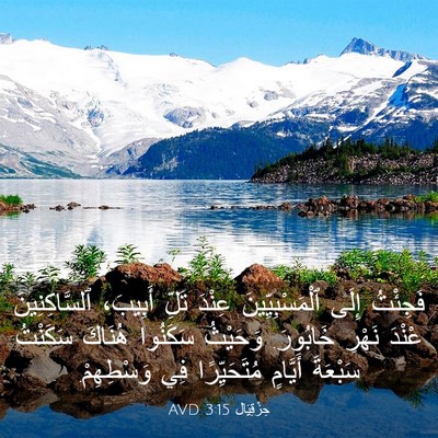 Picture 03 - حِزْقِيَال 3:15 AVD - فَجِئْتُ إِلَى - Bible Verse Picture