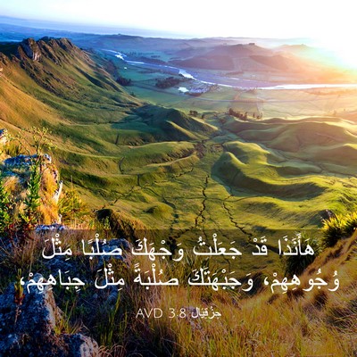 Picture 03 - حِزْقِيَال 3:8 AVD - هَأَنَذَا قَدْ جَعَلْتُ - Bible Verse Picture