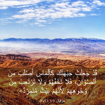 Picture 03 - حِزْقِيَال 3:9 AVD - قَدْ جَعَلْتُ جَبْهَتَكَ - Bible Verse Picture