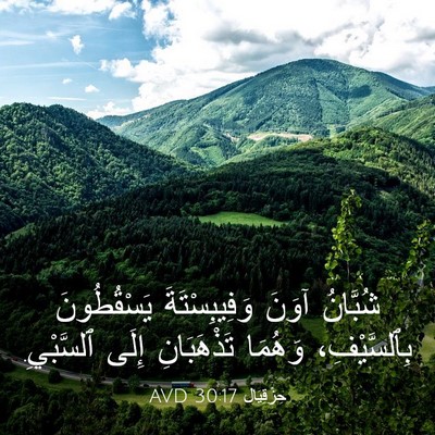 Picture 03 - حِزْقِيَال 30:17 AVD - شُبَّانُ آوَنَ - Bible Verse Picture