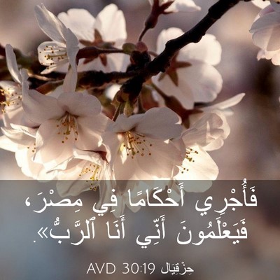 Picture 03 - حِزْقِيَال 30:19 AVD - فَأُجْرِي أَحْكَامًا فِي - Bible Verse Picture