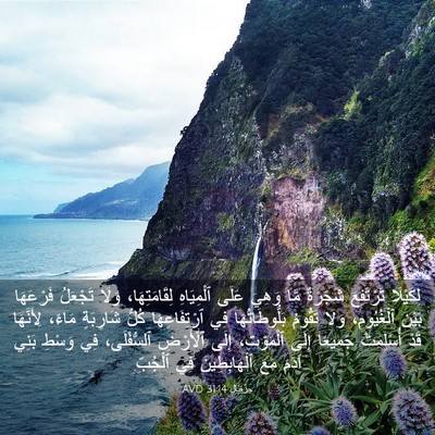 Picture 03 - حِزْقِيَال 31:14 AVD - لِكَيْلَا تَرْتَفِعَ - Bible Verse Picture