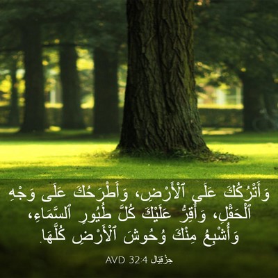 Picture 03 - حِزْقِيَال 32:4 AVD - وَأَتْرُكُكَ عَلَى - Bible Verse Picture