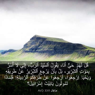 Picture 03 - حِزْقِيَال 33:11 AVD - قُلْ لَهُمْ: حَيٌّ أَنَا، - Bible Verse Picture