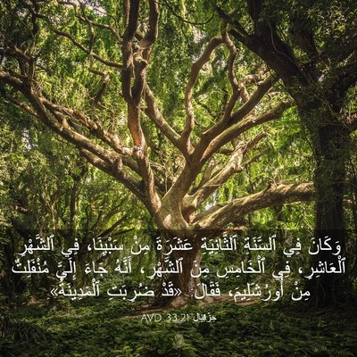 Picture 03 - حِزْقِيَال 33:21 AVD - وَكَانَ فِي ٱلسَّنَةِ - Bible Verse Picture