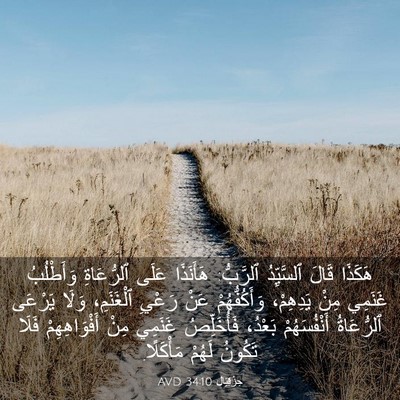 Picture 03 - حِزْقِيَال 34:10 AVD - هَكَذَا قَالَ ٱلسَّيِّدُ - Bible Verse Picture