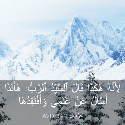 Picture 03 - حِزْقِيَال 34:11 AVD - لِأَنَّهُ هَكَذَا قَالَ - Bible Verse Picture
