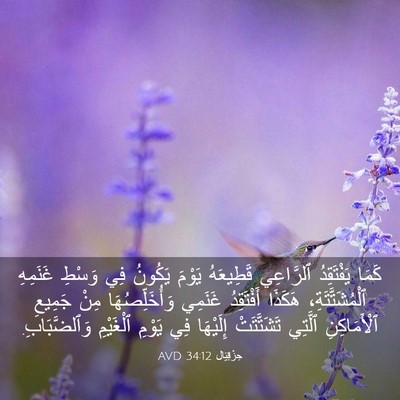 Picture 03 - حِزْقِيَال 34:12 AVD - كَمَا يَفْتَقِدُ - Bible Verse Picture