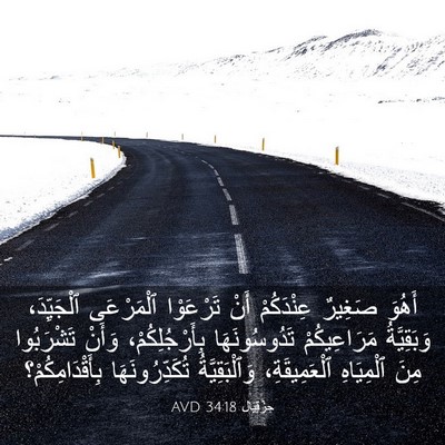 Picture 03 - حِزْقِيَال 34:18 AVD - أَهُوَ صَغِيرٌ عِنْدَكُمْ - Bible Verse Picture
