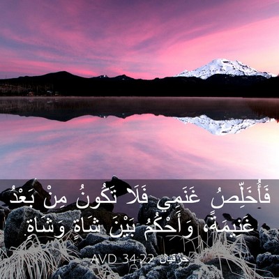 Picture 03 - حِزْقِيَال 34:22 AVD - فَأُخَلِّصُ غَنَمِي فَلَا - Bible Verse Picture