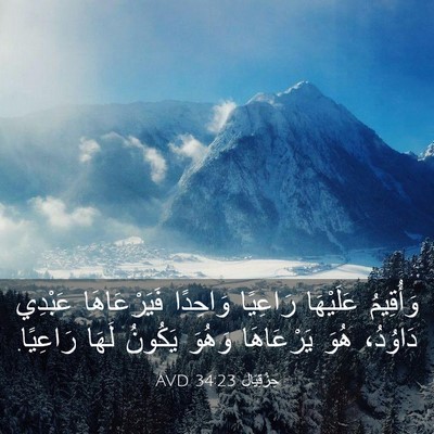 Picture 03 - حِزْقِيَال 34:23 AVD - وَأُقِيمُ عَلَيْهَا - Bible Verse Picture