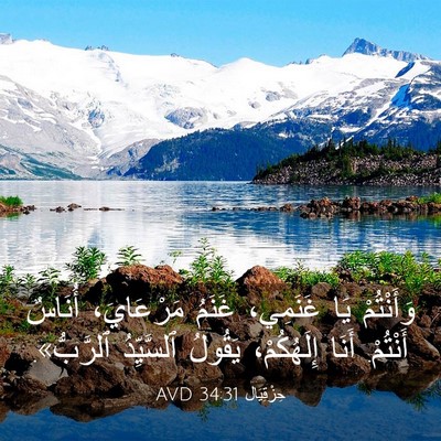 Picture 03 - حِزْقِيَال 34:31 AVD - وَأَنْتُمْ يَا غَنَمِي، - Bible Verse Picture