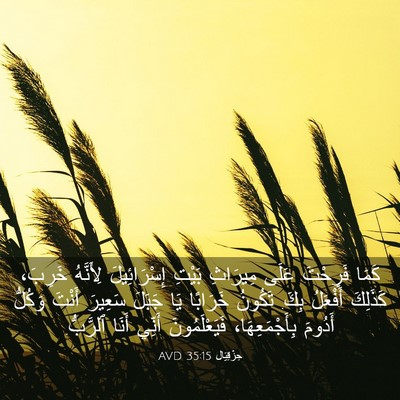 Picture 03 - حِزْقِيَال 35:15 AVD - كَمَا فَرِحْتَ عَلَى - Bible Verse Picture