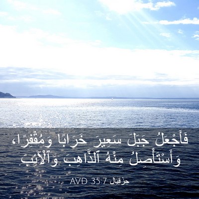 Picture 03 - حِزْقِيَال 35:7 AVD - فَأَجْعَلُ جَبَلَ سَعِيرَ - Bible Verse Picture