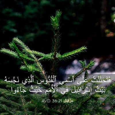 Picture 03 - حِزْقِيَال 36:21 AVD - فَتَحَنَّنْتُ عَلَى - Bible Verse Picture