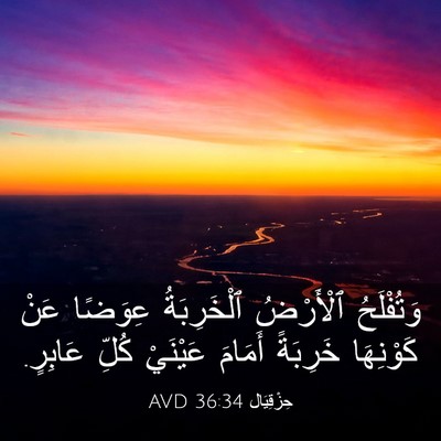 Picture 03 - حِزْقِيَال 36:34 AVD - وَتُفْلَحُ ٱلْأَرْضُ - Bible Verse Picture
