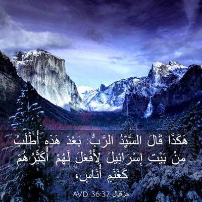 Picture 03 - حِزْقِيَال 36:37 AVD - هَكَذَا قَالَ السَّيِّدُ - Bible Verse Picture