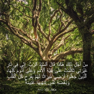 Picture 03 - حِزْقِيَال 36:5 AVD - مِنْ أَجْلِ ذَلِكَ هَكَذَا - Bible Verse Picture