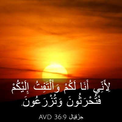 Picture 03 - حِزْقِيَال 36:9 AVD - لِأَنِّي أَنَا لَكُمْ - Bible Verse Picture