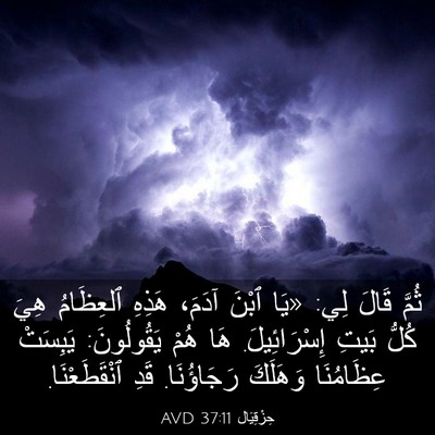 Picture 03 - حِزْقِيَال 37:11 AVD - ثُمَّ قَالَ لِي: «يَا ٱبْنَ - Bible Verse Picture