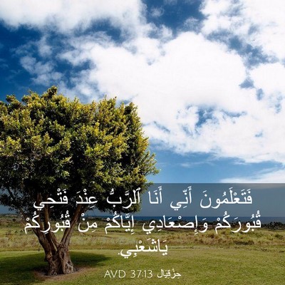 Picture 03 - حِزْقِيَال 37:13 AVD - فَتَعْلَمُونَ أَنِّي - Bible Verse Picture