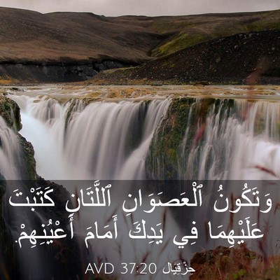 Picture 03 - حِزْقِيَال 37:20 AVD - وَتَكُونُ ٱلْعَصَوَانِ - Bible Verse Picture