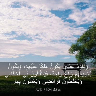 Picture 03 - حِزْقِيَال 37:24 AVD - وَدَاوُدُ عَبْدِي يَكُونُ - Bible Verse Picture